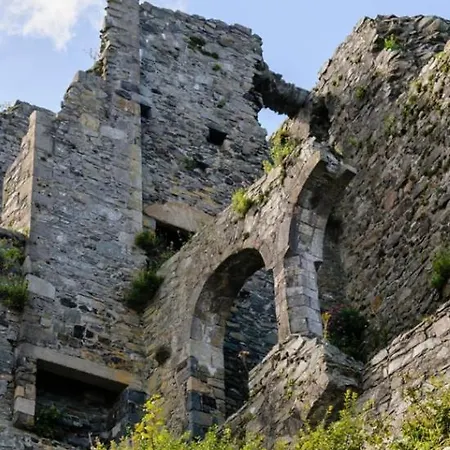 Sea Mourne View